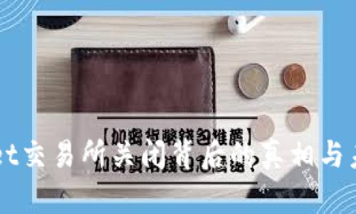 TPWallet交易所关闭背后的真相与未来展望