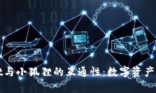 探索TPWallet与小狐狸的互通性：数字资产管理的新前沿