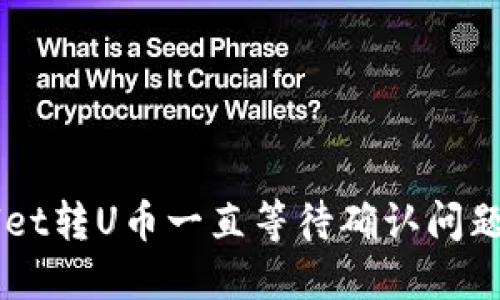 解决TPWallet转U币一直等待确认问题的终极指南