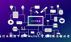 为什么无法下载TPWallet：常见问题与解决方案