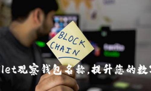 轻松设置TPWallet观察钱包名称，提升您的数字资产管理体验