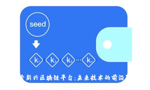 探索新兴区块链平台：未来技术的前沿阵地