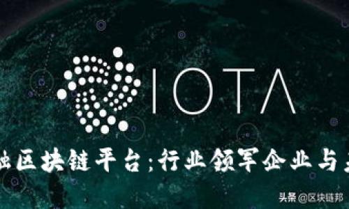 探索金融区块链平台：行业领军企业与未来展望