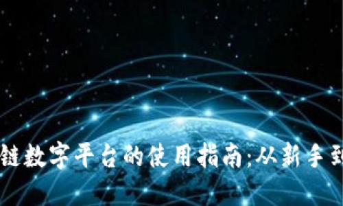 区块链数字平台的使用指南：从新手到高手