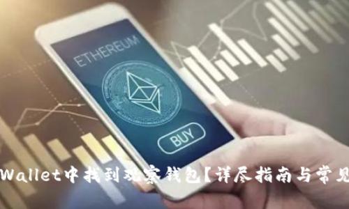 如何在TPWallet中找到观察钱包？详尽指南与常见问题解答
