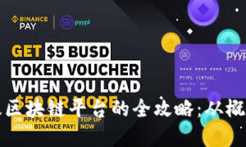 构建高效区块链平台的全攻略：从概念到实现