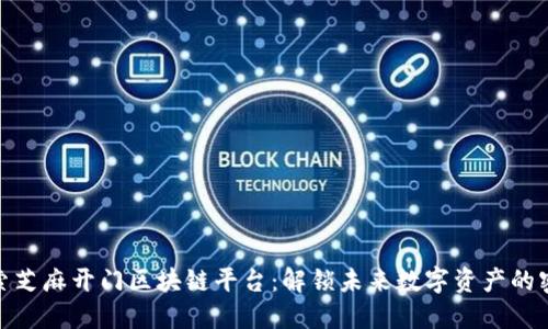 探索芝麻开门区块链平台：解锁未来数字资产的密码