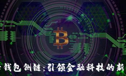   
TP卡钱包侧链：引领金融科技的新潮流