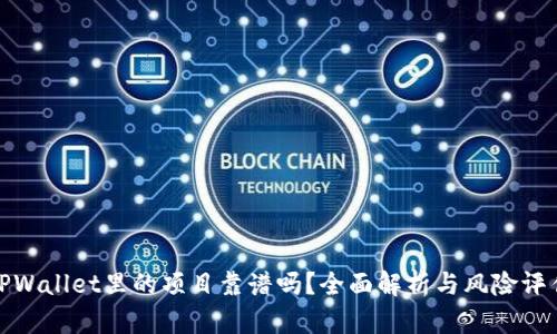 TPWallet里的项目靠谱吗？全面解析与风险评估