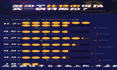 创新驱动未来：政府区块链平台全面上线，开启数字化管理新篇章