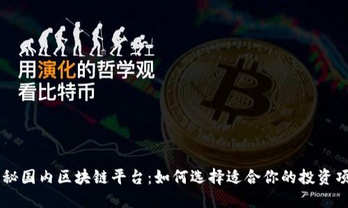 揭秘国内区块链平台：如何选择适合你的投资项目