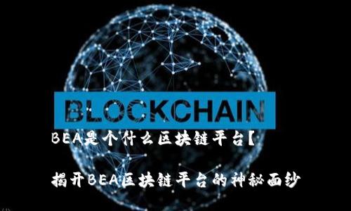 BEA是个什么区块链平台？

揭开BEA区块链平台的神秘面纱