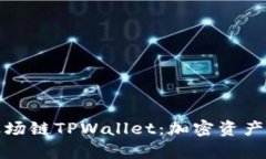 全面解析波场链TPWallet：加密资产管理新选择