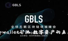 解密tpwallet矿池：数字资产的未来之路