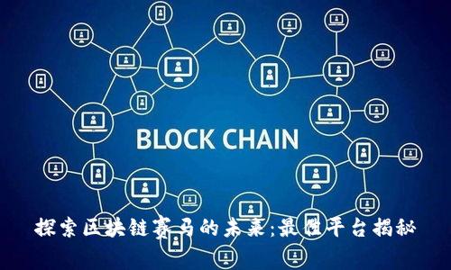 探索区块链赛马的未来：最佳平台揭秘