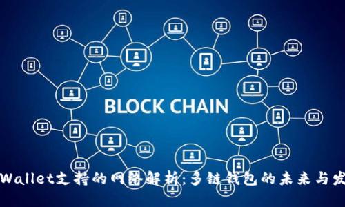 TPWallet支持的网络解析：多链钱包的未来与发展
