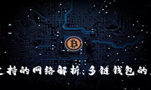 TPWallet支持的网络解析：多链钱包的未来与发展