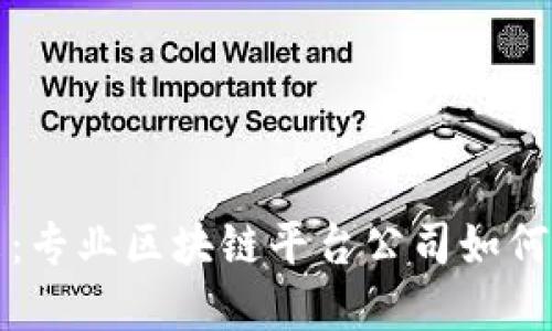 探索区块链的未来：专业区块链平台公司如何引领数字经济变革