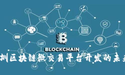  探讨深圳区块链微交易平台开发的未来与机遇