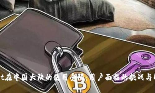 TPWallet在中国大陆的使用受限：用户面临的挑战与解决方案
