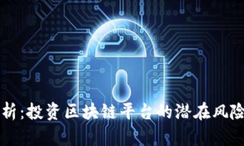 深入分析：投资区块链平台的潜在风险与对策