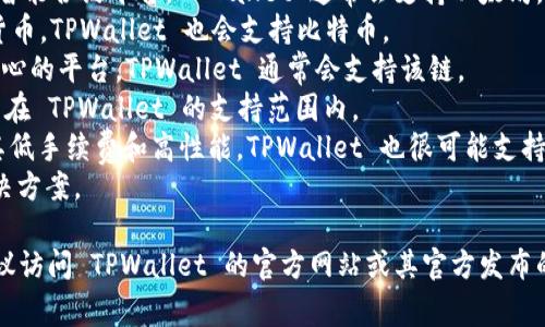 TPWallet 是一个多链数字资产钱包，支持多种区块链。至于它所支持的链的名称，以下是一些常见的链名称，TPWallet 可能支持这些链或更多：

1. **以太坊（Ethereum）** - 作为一个成熟的智能合约平台，TPWallet 通常会支持以太坊。
2. **比特币（Bitcoin）** - 作为最流行的加密货币，TPWallet 也会支持比特币。
3. **波场（Tron）** - TRON 是一个以内容为中心的平台，TPWallet 通常会支持该链。
4. **EOS** - 另一个支持智能合约的平台，可能在 TPWallet 的支持范围内。
5. **Binance Smart Chain（BSC）** - 由于其低手续费和高性能，TPWallet 也很可能支持 BSC。
6. **Polygon** - 与以太坊相互兼容的二层解决方案。

为了获取 TPWallet 当前支持的具体链名称，建议访问 TPWallet 的官方网站或其官方发布的资源。