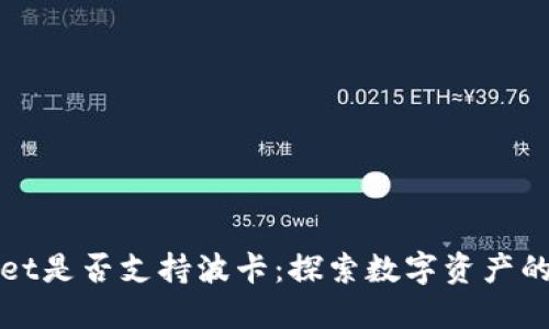 TPWallet是否支持波卡：探索数字资产的新境界