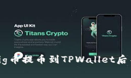 : 如何解决Pig币提币到TPWallet后不显示的问题
