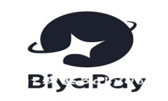 如何通过TPWallet购买BabyDoge币：一站式指南