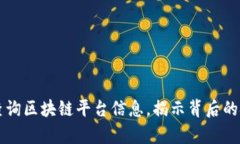 如何有效查询区块链平台信息，揭示背后的技术