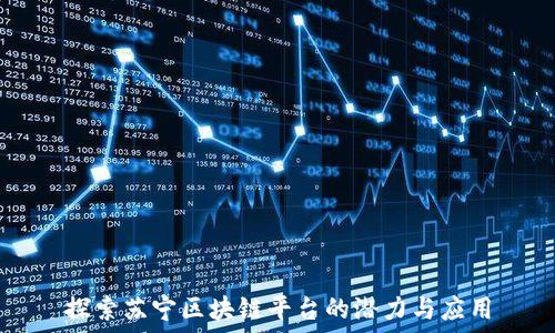   
探索苏宁区块链平台的潜力与应用