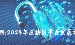 未来可期：2024年区块链平台发展前景分析