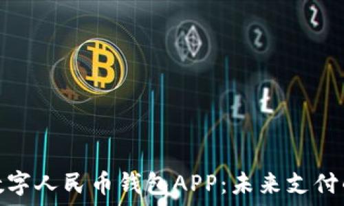   
全面解读数字人民币钱包APP：未来支付的革新之路
