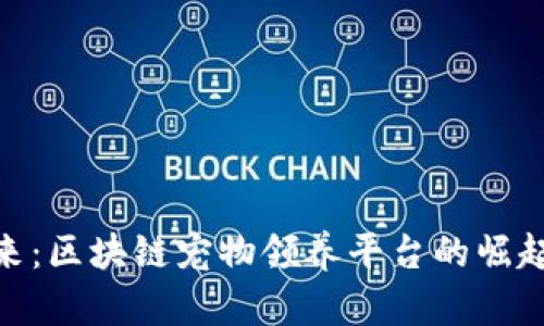 探索未来：区块链宠物领养平台的崛起与机遇