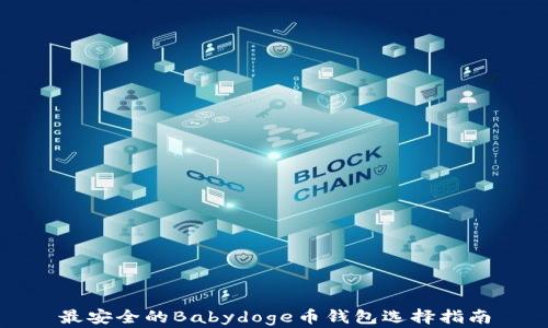 
最安全的Babydoge币钱包选择指南