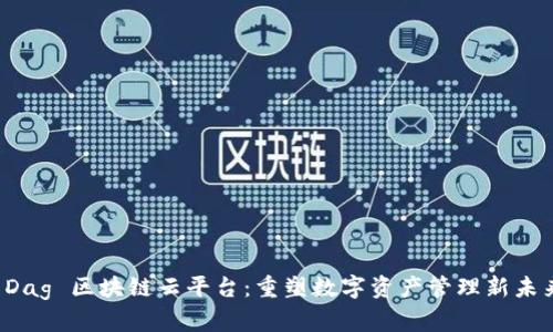  Dag 区块链云平台：重塑数字资产管理新未来