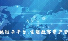  Dag 区块链云平台：重塑数字资产管理新未来