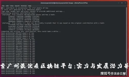 探索广州最优质区块链平台：实力与发展潜力并存