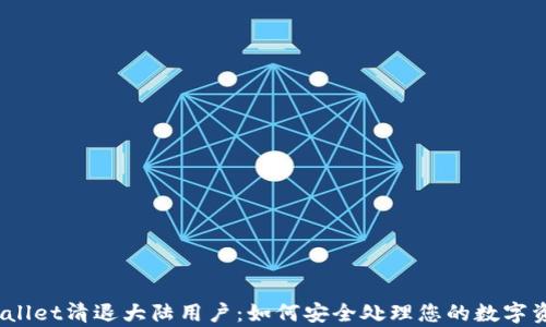 
tpwallet清退大陆用户：如何安全处理您的数字资产？