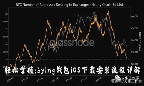 轻松掌握：bying钱包iOS下载安装流程详解