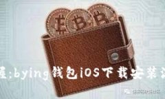 轻松掌握：bying钱包iOS下载安装流程详解