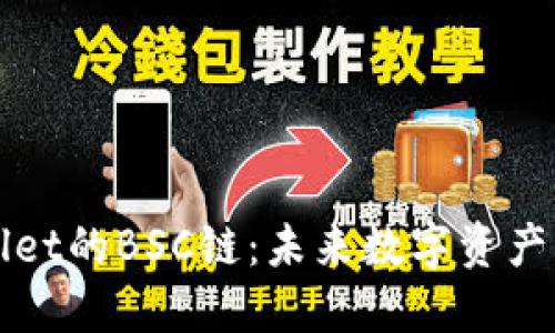 深入了解TPWallet的BSC链：未来数字资产管理的革新之路