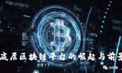 国内底层区块链平台的崛起与前景展望