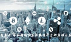 打造未来：全面解析国家区块链平台的启动与应