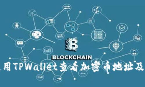如何使用TPWallet查看加密币地址及其信息