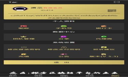 友盾：探索区块链平台的未来