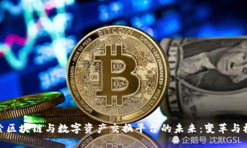 探索区块链与数字资产交换平台的未来：变革与机遇