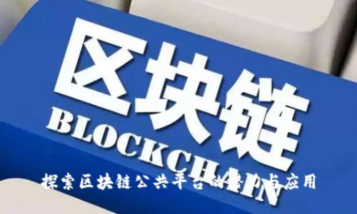 探索区块链公共平台的潜力与应用