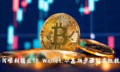 如何顺利转出TP Wallet：从基础步骤到高级技巧