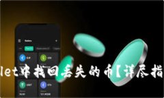 如何在TPWallet中找回丢失的币？详尽指南与实用技